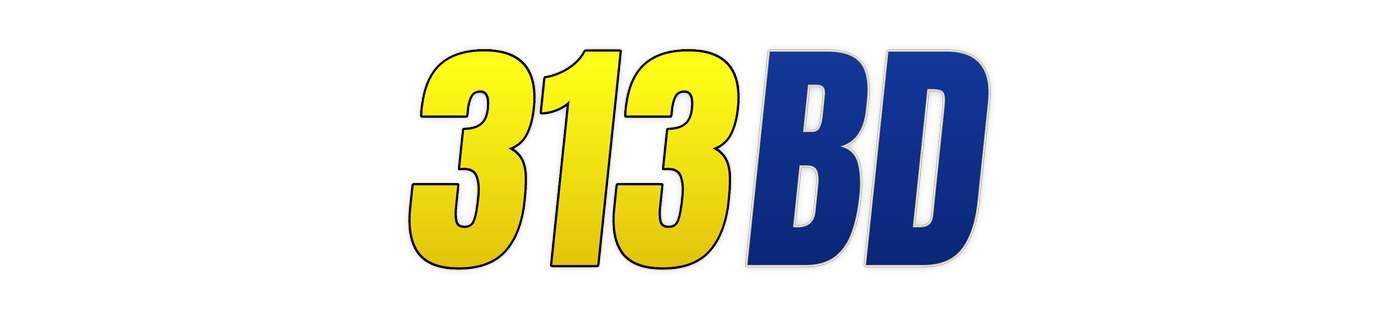 313bd